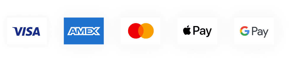 Icons showing accepted payment methods: Visa, American Express, Mastercard, Apple Pay and Google Pay.